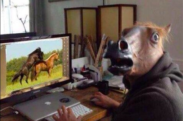 horse.png