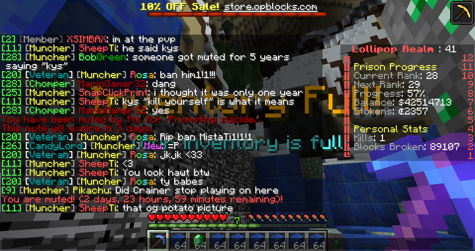 Minecraft 1.10.2 8_25_2016 10_08_42 AM.png
