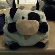 daisycow5