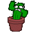CrazyTheCactus
